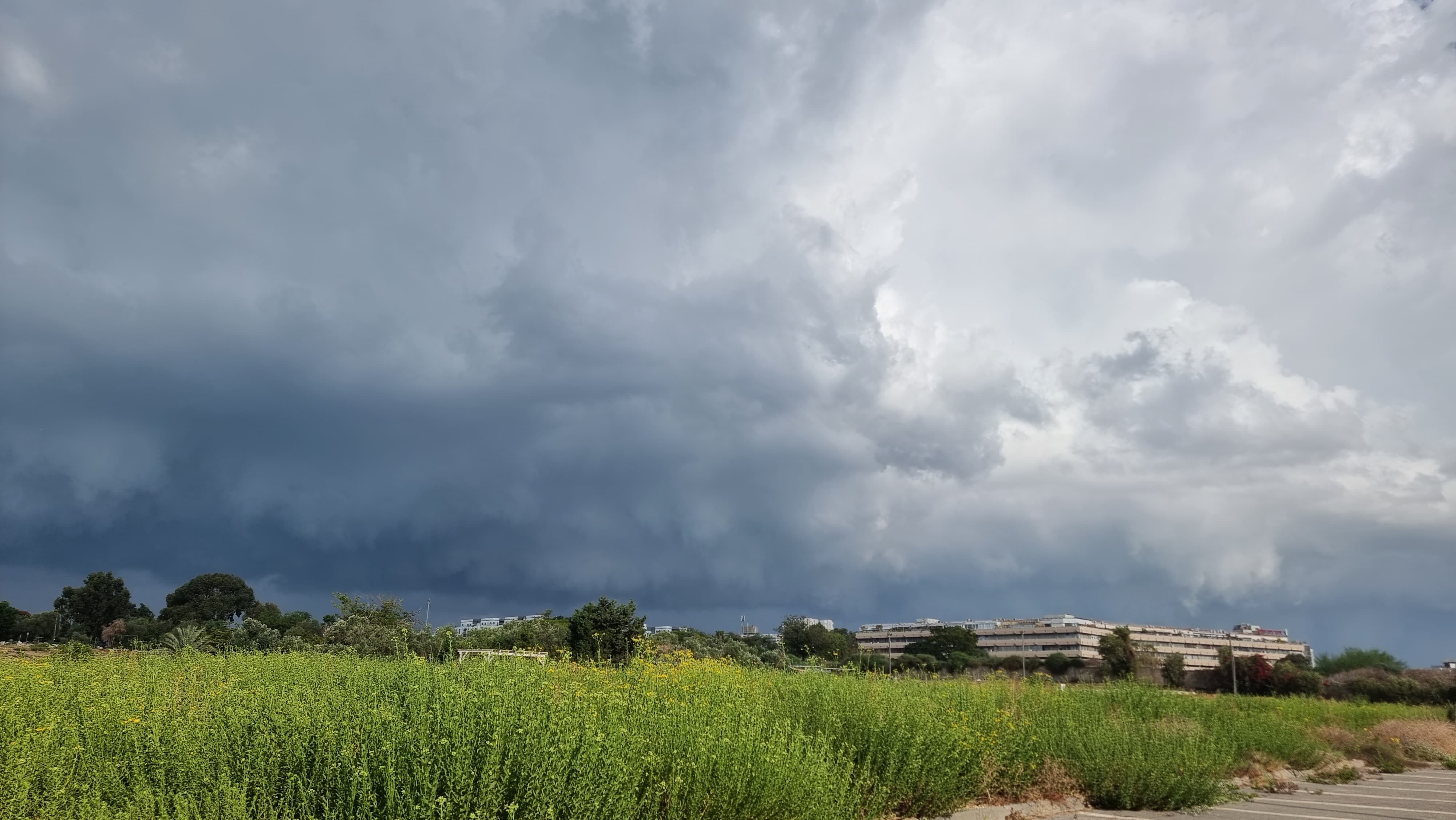 WhatsApp Image 2023-10-15 at 09.02.40.jpeg